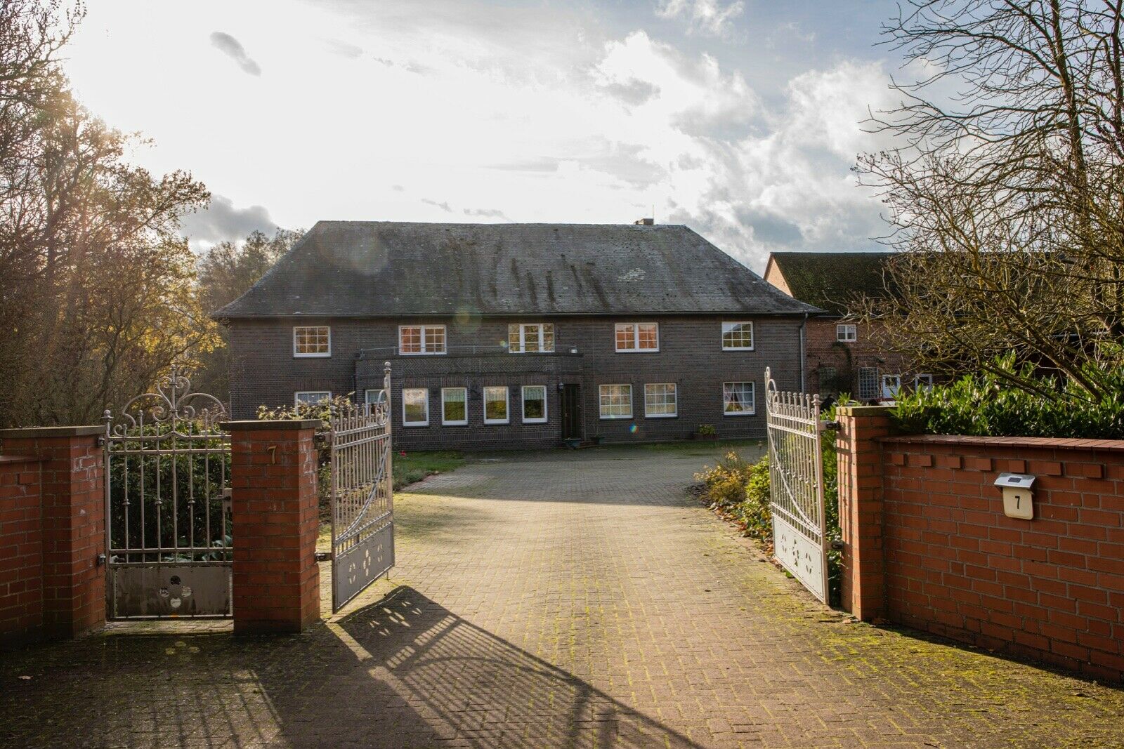 Logo Hunde-Webseiten