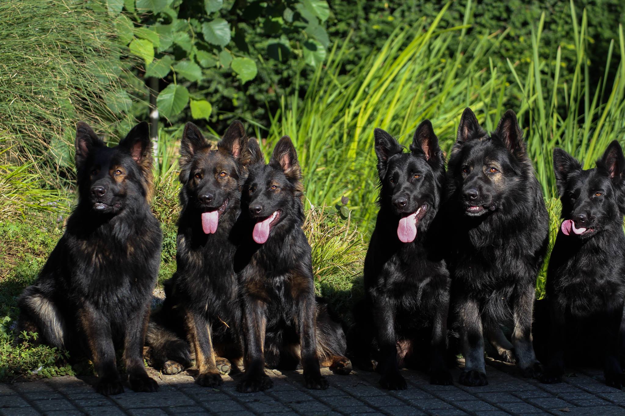 Karin und Peter Wolf